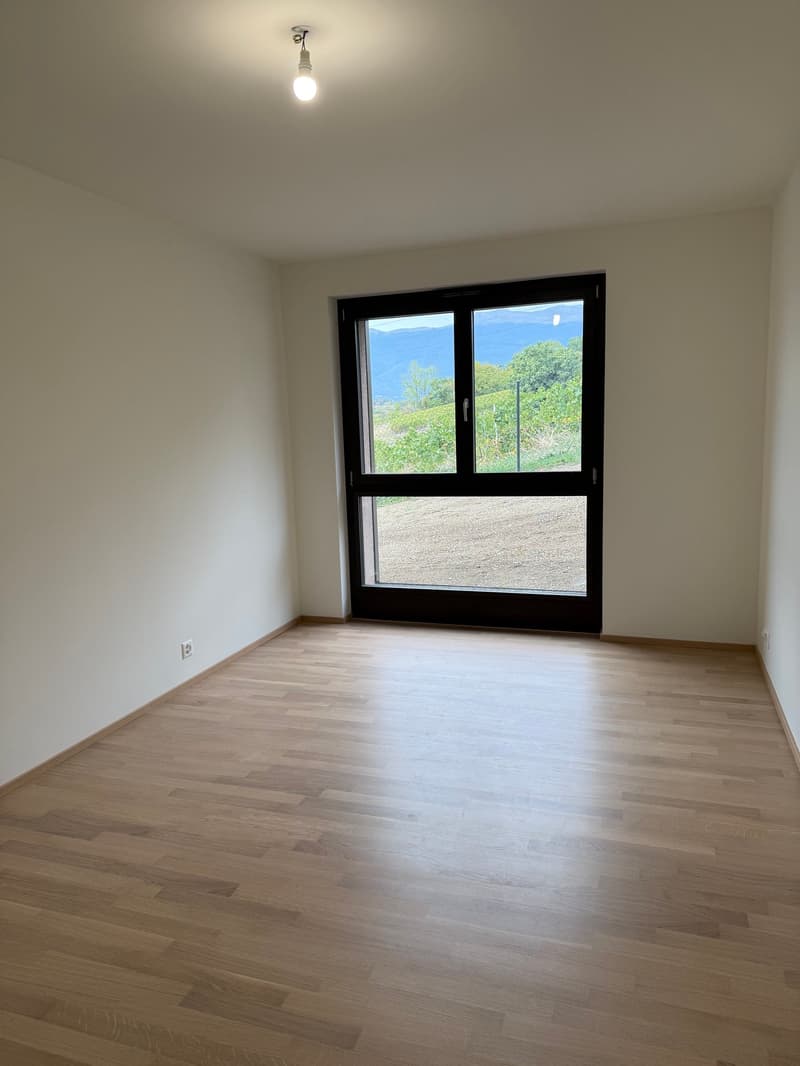 Appartements 4 pièces Rez de jardin à vendre à Russin (5)