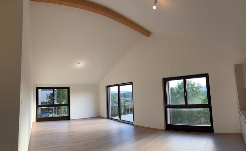 Appartement attique neuf 5 pièces 1er étage avec vue à Russin (2)