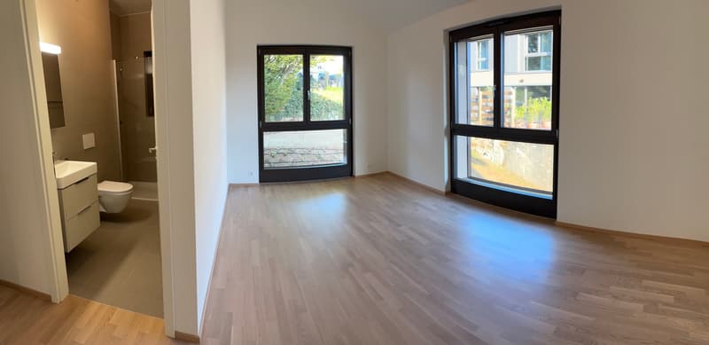 Appartement attique neuf 5 pièces 1er étage avec vue à Russin (3)