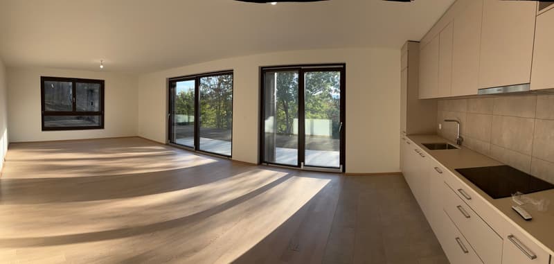 Appartement neuf de 5 pièces à Russin, avec jardin – Lumineux, moderne et accessible (2)