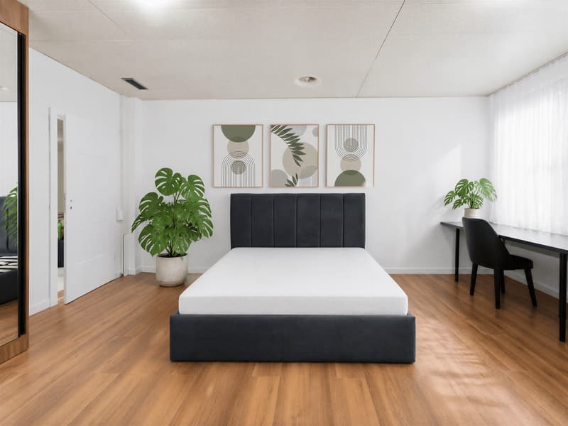 Dein Zimmer in der coolsten WG von Basel (6)