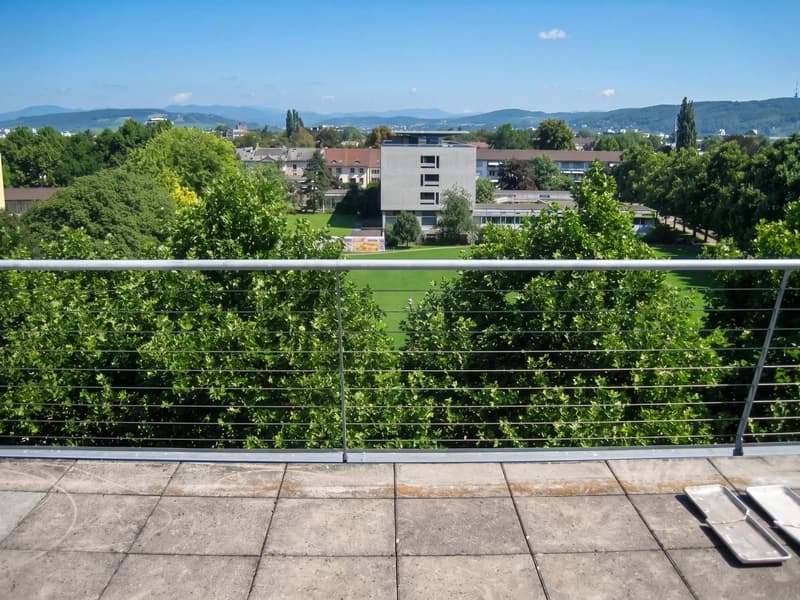 4-Zimmer-Dachwohnung mit Dachterrasse in Basel mieten (7)