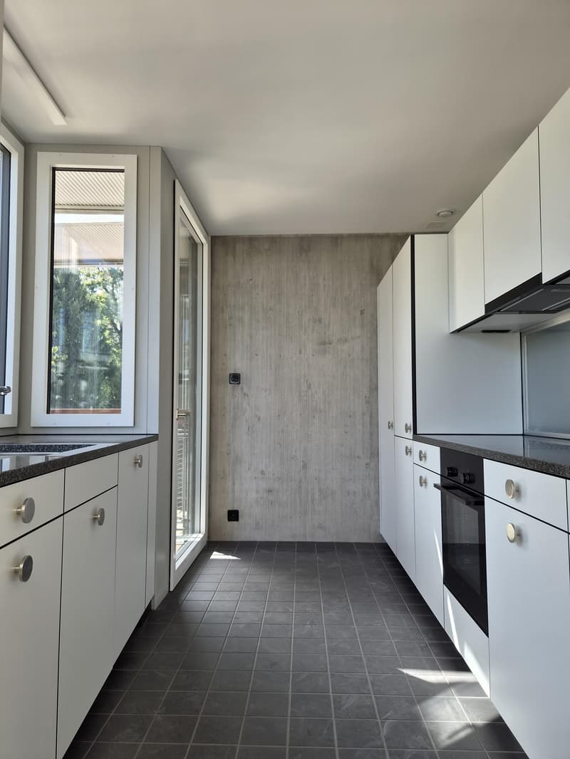 3.5 Zimmerwohnung in Luzern (2)