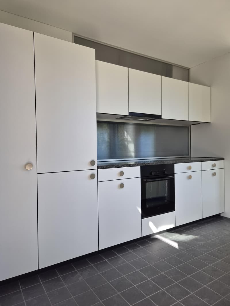 3.5 Zimmerwohnung in Luzern (1)