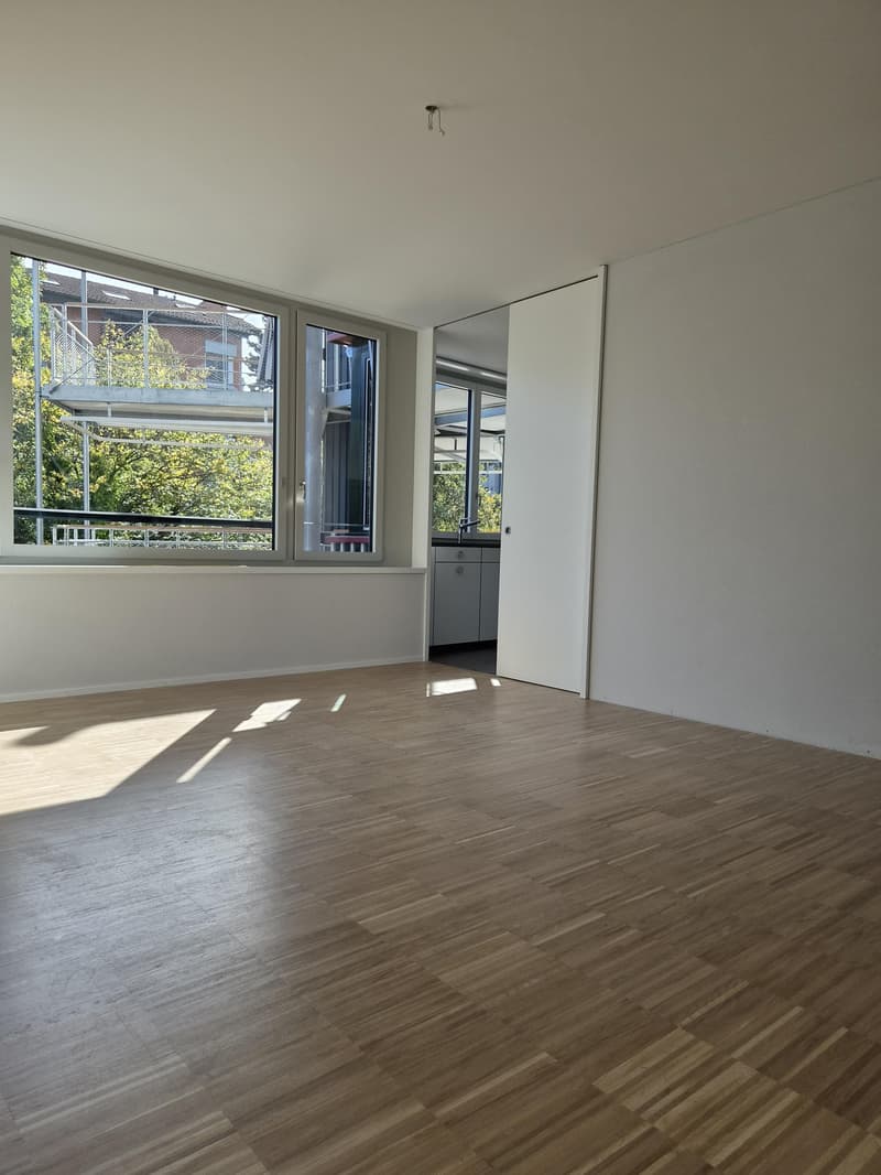 3.5 Zimmerwohnung in Luzern (4)