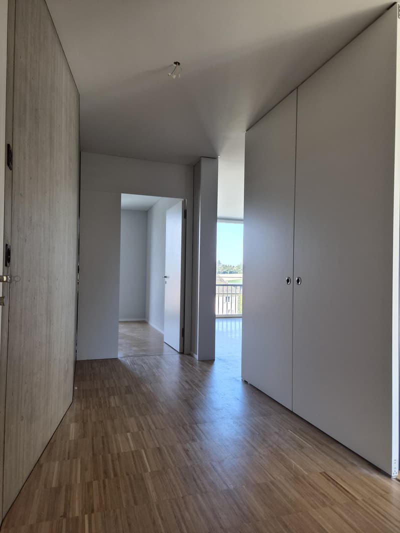 3.5 Zimmerwohnung in Luzern (8)