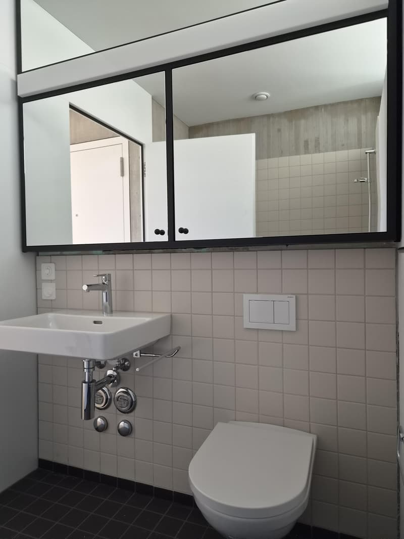 3.5 Zimmerwohnung in Luzern (6)