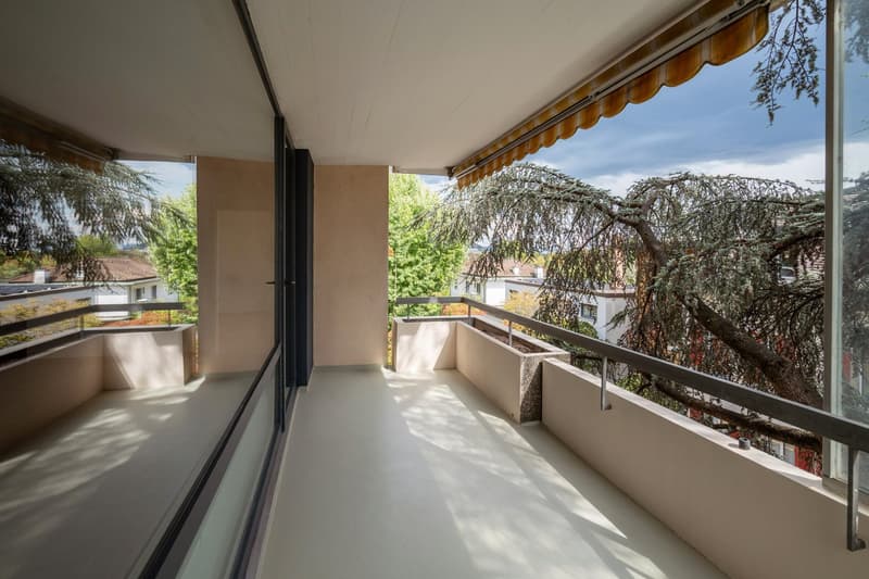 Zwischen Baumkronen und Rhein – 5.5 Zimmer auf ca. 130 m² (2)