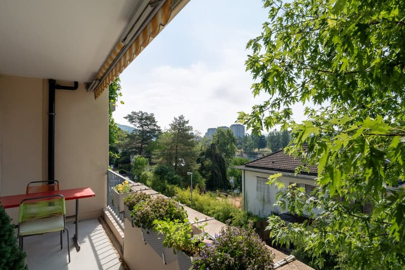 Zwischen Baumkronen und Rhein – 4.5 Zimmer auf ca. 120 m² (2)