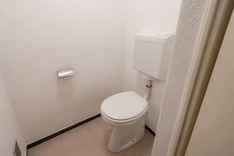 3.5 Zimmer, zwei Balkone und viel Platz – nahe am Rhein (8)