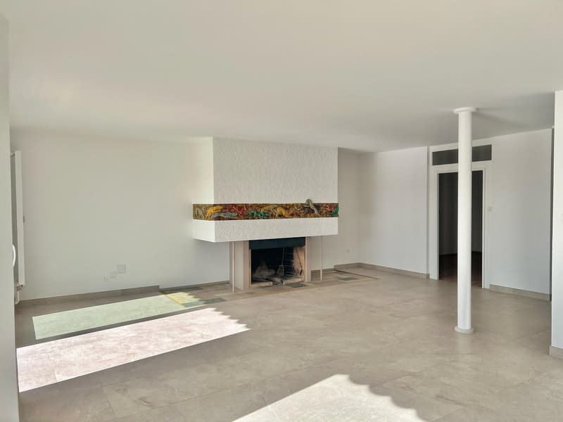 Exklusive 4.5 Zimmer mit Rheinblick und Cheminée (3)