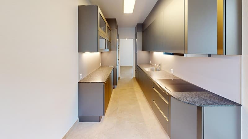 Exklusive 4.5 Zimmer mit Rheinblick und Cheminée (4)