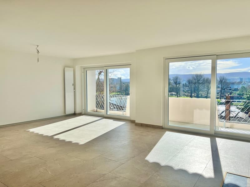 Exklusive 4.5 Zimmer mit Rheinblick und Cheminée (2)