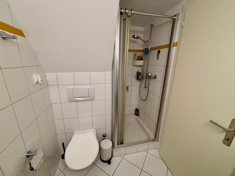 Appartement en duplex à remettre – centre de Fribourg 2,5 pièces (10)
