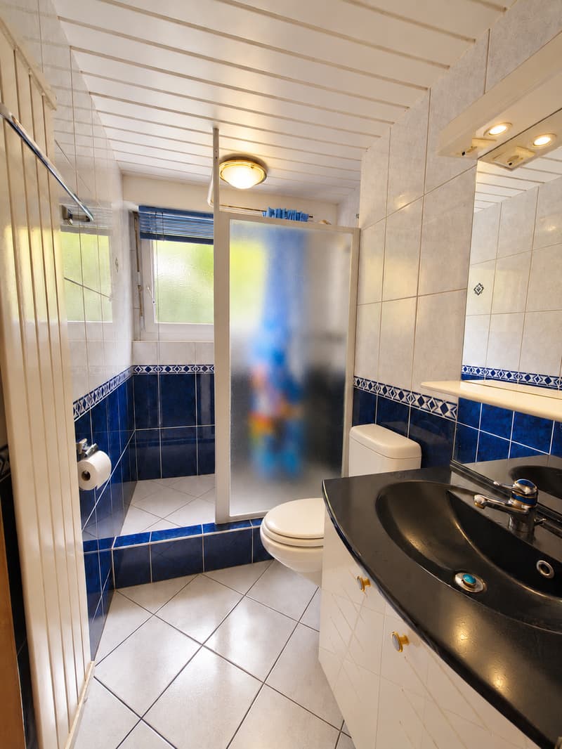 Appartement de 109m2 dans les montagnes Neuchâteloise à rénover à votre image (8)