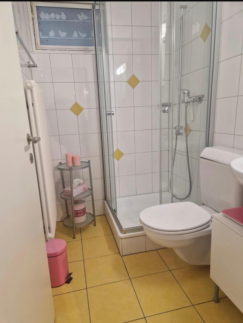 grosse 1.5 Wohnung mit eigenem Sitzplatz in ruhigem Quartier, nahe Bahnhof Rikon (4)