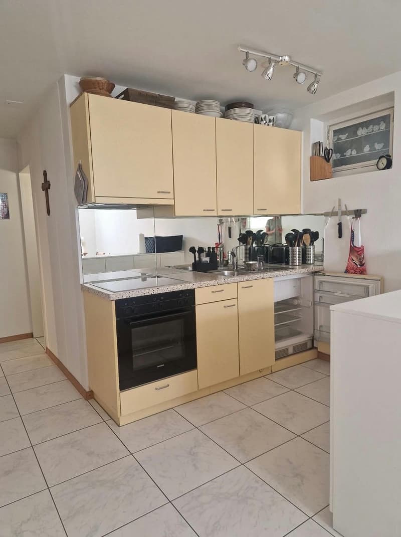 grosse 1.5 Wohnung mit eigenem Sitzplatz in ruhigem Quartier, nahe Bahnhof Rikon (2)