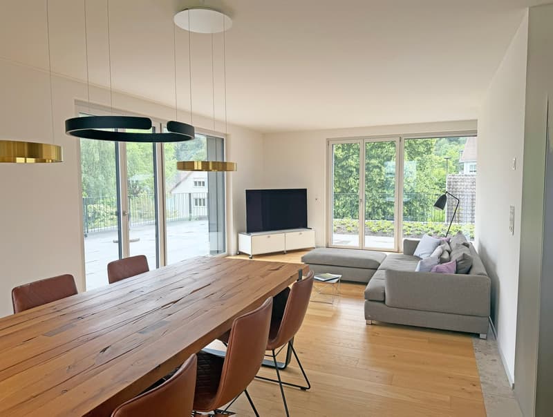 Appartement attique moderne de 3,5 pièces avec vue dégagée (8)