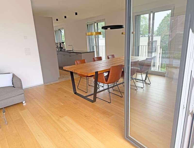 Appartement attique moderne de 3,5 pièces avec vue dégagée (7)