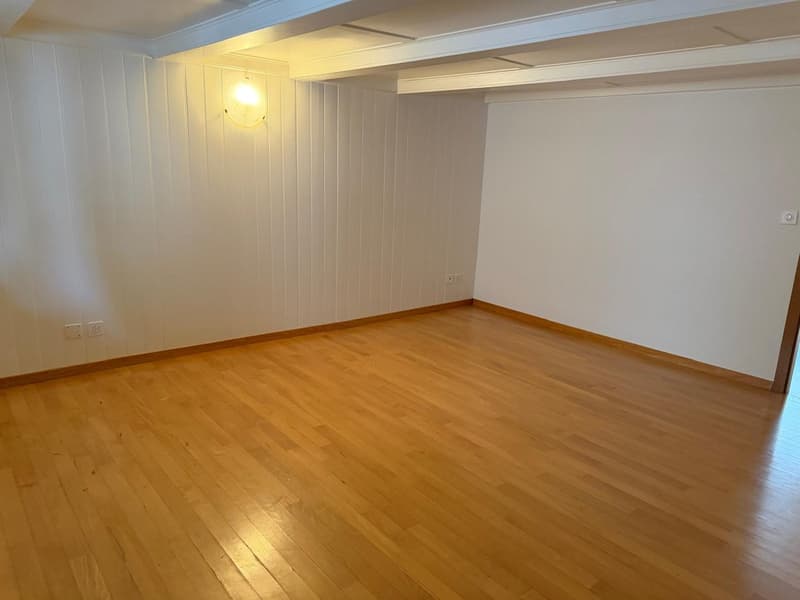 Cozy 3-room old building apartment on Oberstrasse in St. Gallen (6)