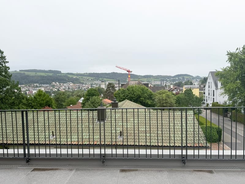 Moderne 3.5-Zimmer-Attikawohnung mit unverbaubarem Blick (11)