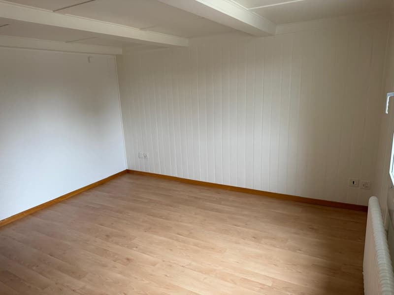 Gemütliche 3-Zimmer-Altbauwohnung an der Oberstrasse in St. Gallen (5)