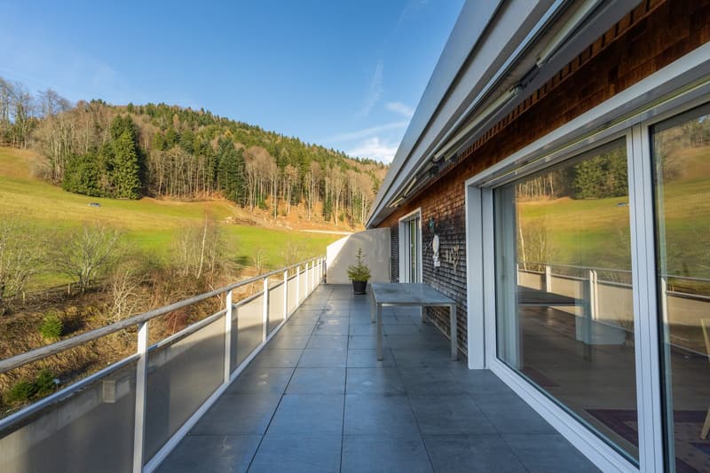 Aussergewöhnlich grosszügige 3.5-Zimmerwohnung mit 120 m², grosser Terrasse & 2 TG-Plätzen (21)