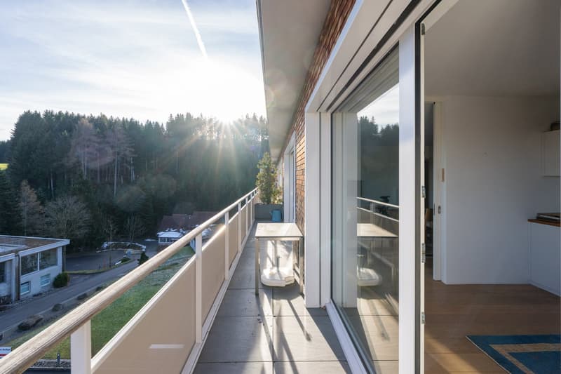 Aussergewöhnlich grosszügige 3.5-Zimmerwohnung mit 120 m², grosser Terrasse & 2 TG-Plätzen (19)