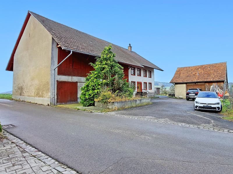 Wohnhaus mit Ökonomieteil und Nebengebäude (1)