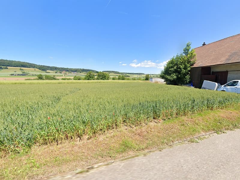 Attractive building land in a quiet location – Regensbergerstrasse 24, Sünikon (4)