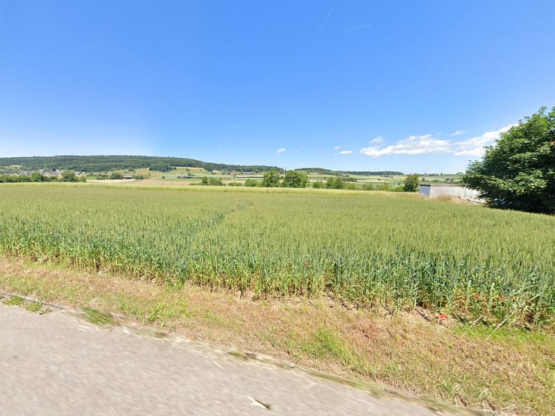 Attractive building land in a quiet location – Regensbergerstrasse 24, Sünikon (5)