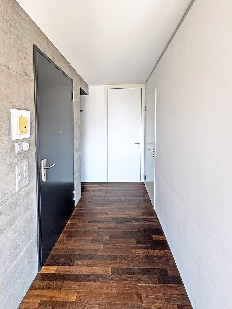 Appartamento attico moderno di 3,5 locali a Zürich-Sihlcity (10)