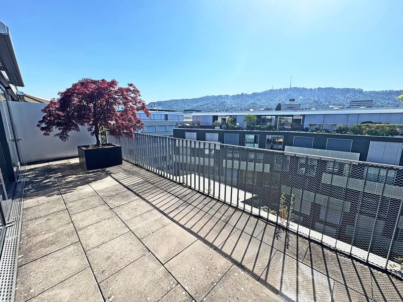Appartamento attico moderno di 3,5 locali a Zürich-Sihlcity (21)