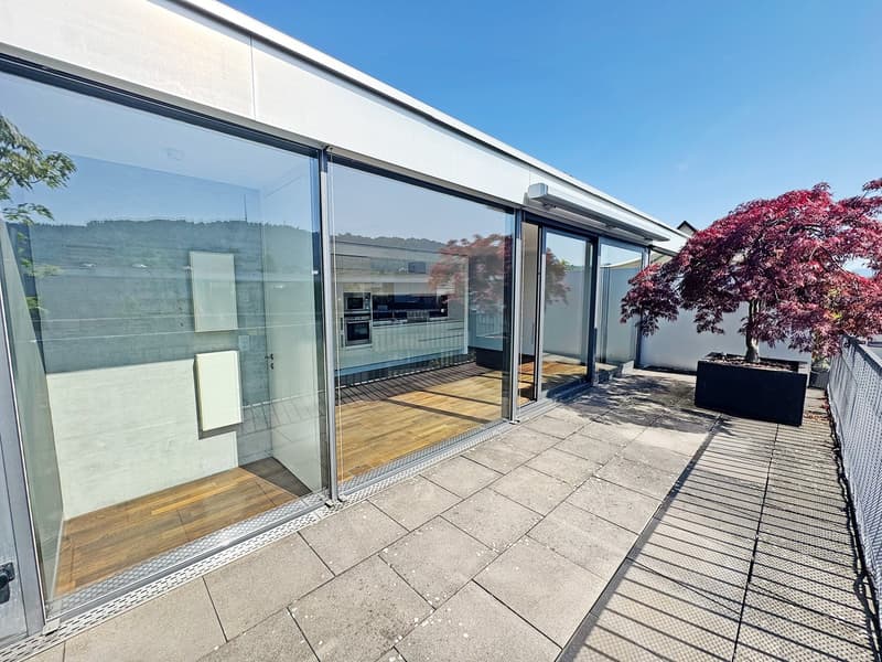 Appartamento attico moderno di 3,5 locali a Zürich-Sihlcity (2)