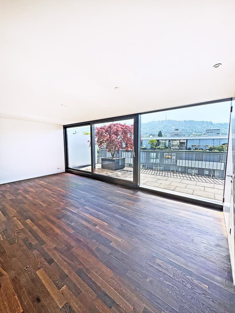 Appartamento attico moderno di 3,5 locali a Zürich-Sihlcity (1)