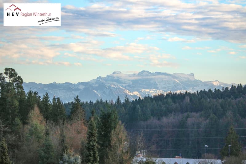 Above the Roofs of Effretikon (7)