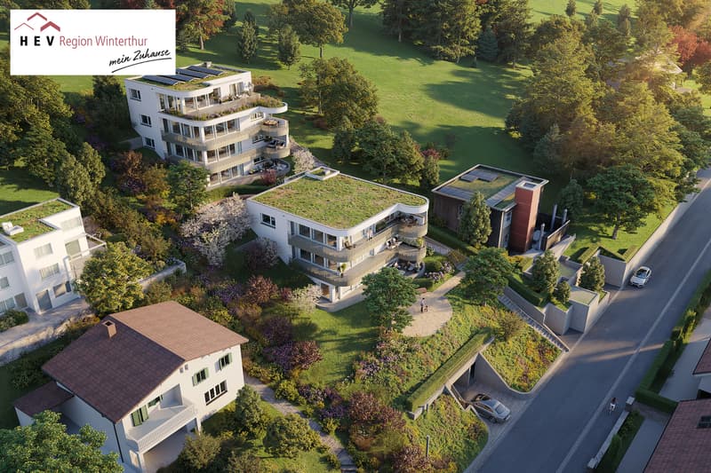 Neubau EG-Wohnung Weinbergstrasse 60 | 62 (1)