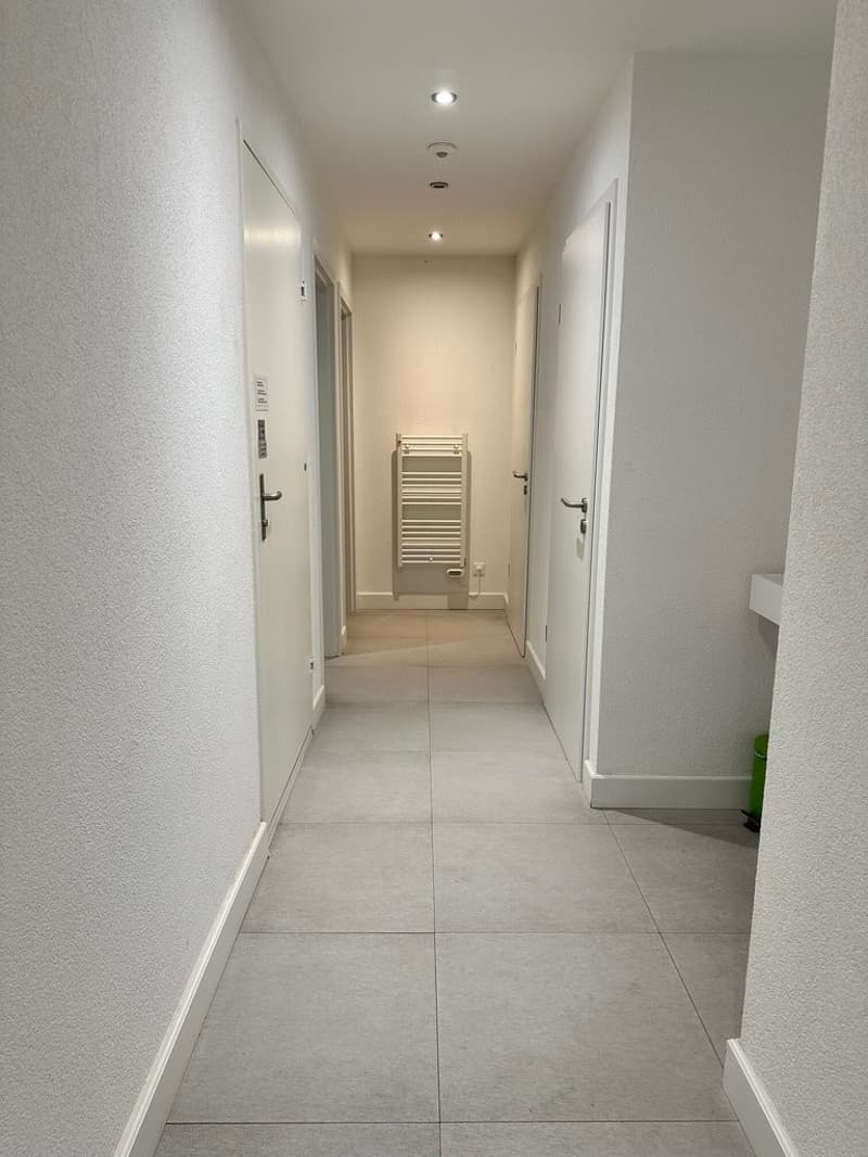 Spazio ufficio attraente e luminoso in una posizione privilegiata a Uster (6)