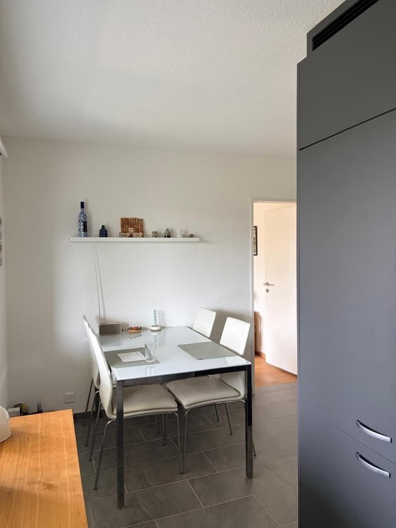 Attraktive 2.5- Zimmer-Wohnung mit viel Tageslicht (5)