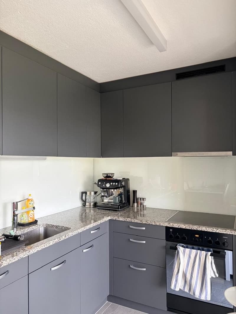 Appartement attrayant de 2,5 pièces avec beaucoup de lumière du jour (4)