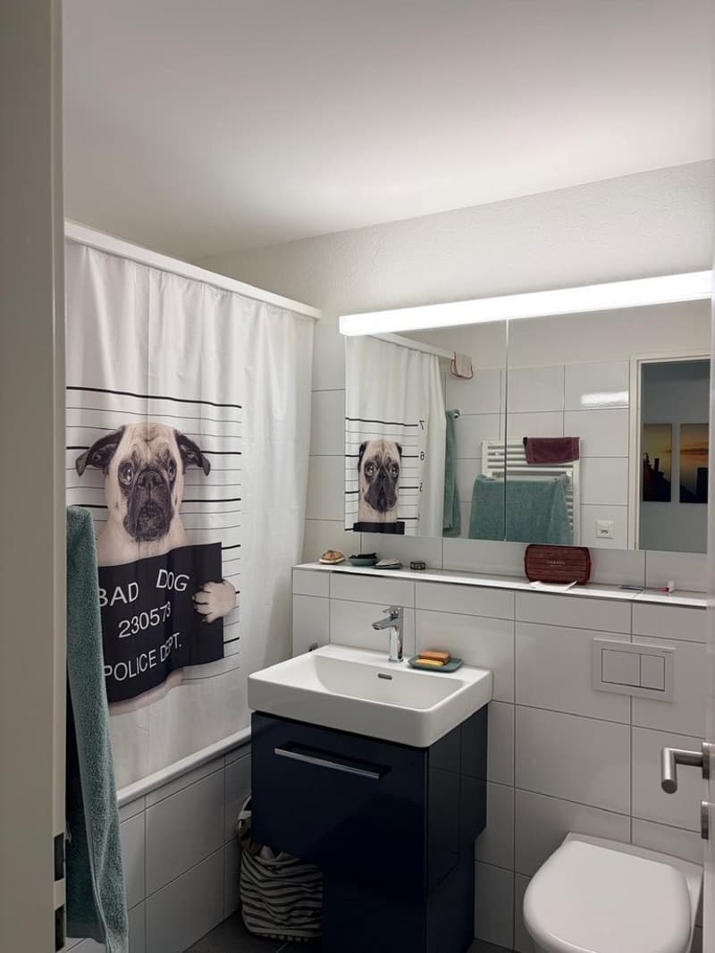 Appartement attrayant de 2,5 pièces avec beaucoup de lumière du jour (8)