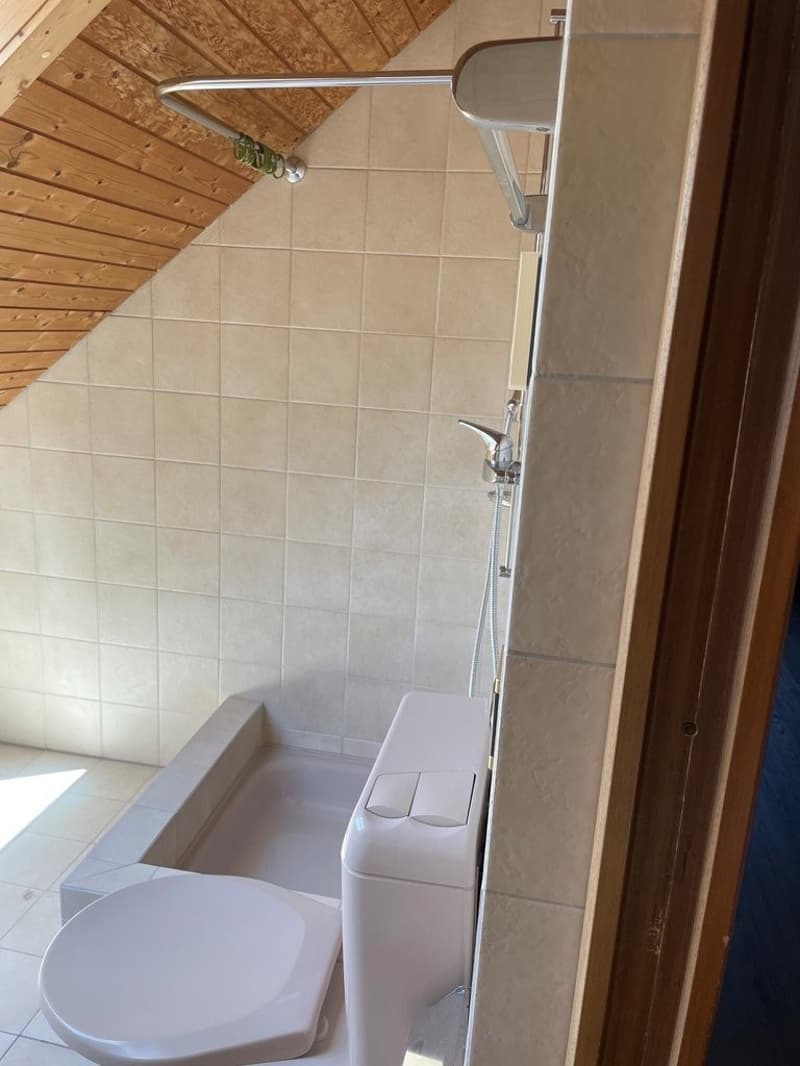 Nasszelle_oben_Dusche-WC.jpg