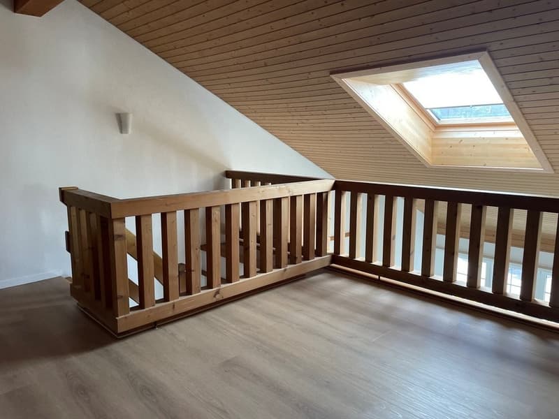 Wir bieten eine grosszügig ausgestattete Wohnung an. (9)