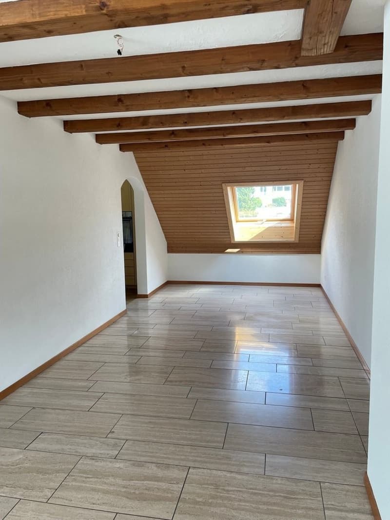 Wir bieten eine grosszügig ausgestattete Wohnung an. (4)