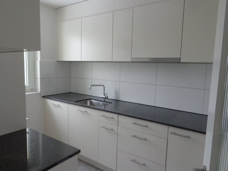 Appartement spacieux avec cheminée et vue sur les environs verts (2)
