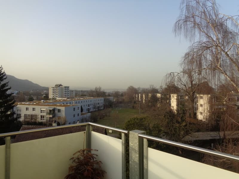 Appartement spacieux avec cheminée et vue sur les environs verts (12)