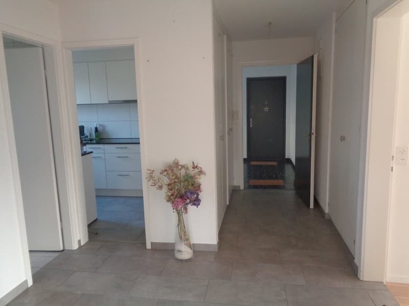 Appartement spacieux avec cheminée et vue sur les environs verts (7)