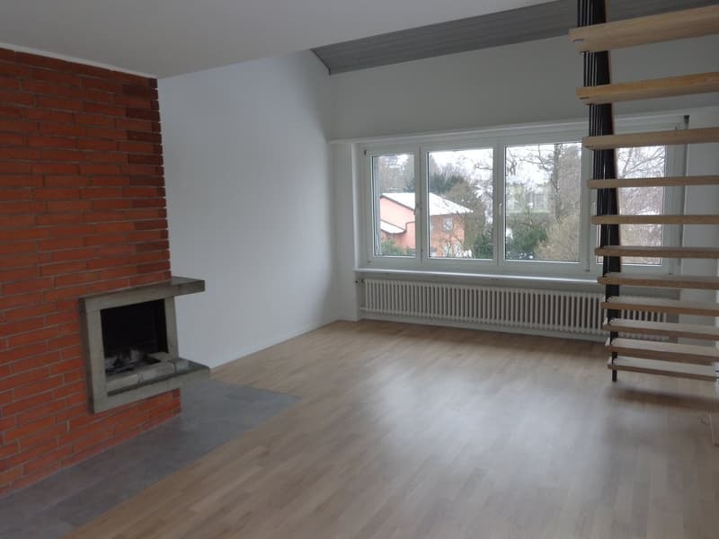 Appartement spacieux avec cheminée et vue sur les environs verts (8)