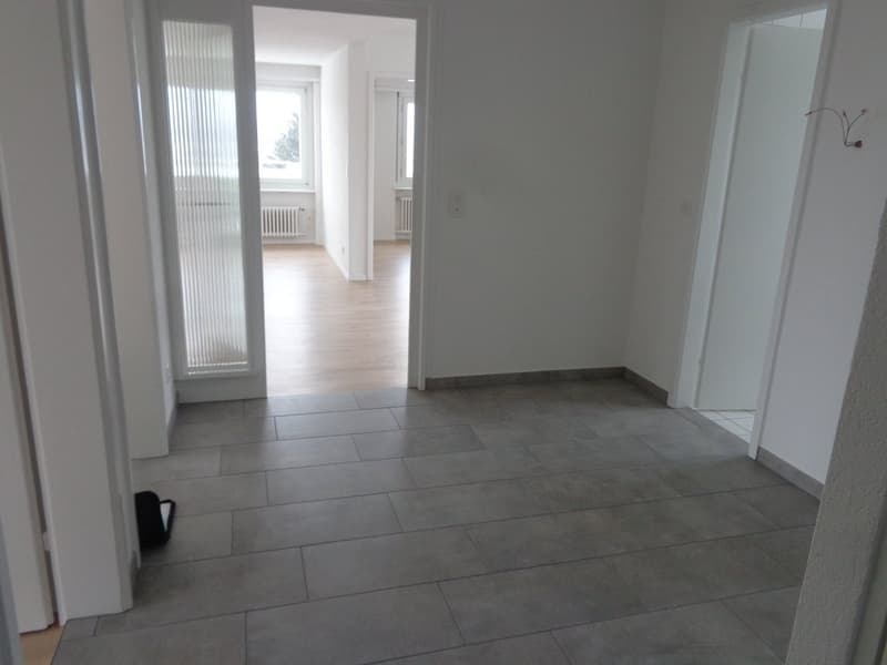 Appartement spacieux avec cheminée et vue sur les environs verts (6)