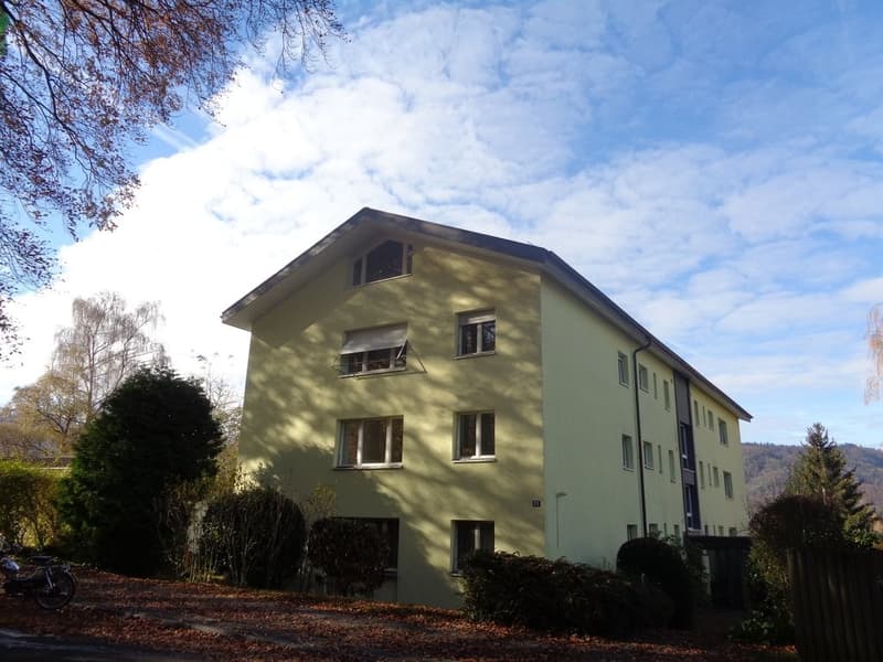 Appartement spacieux avec cheminée et vue sur les environs verts (1)